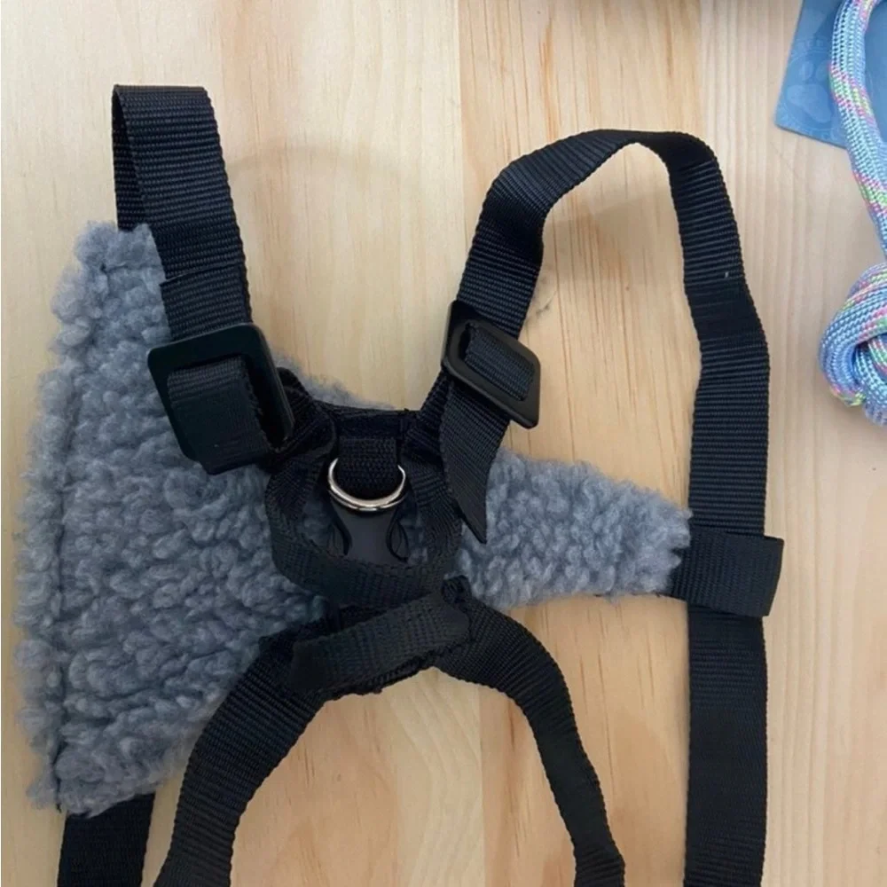 6 pc of dog accessories